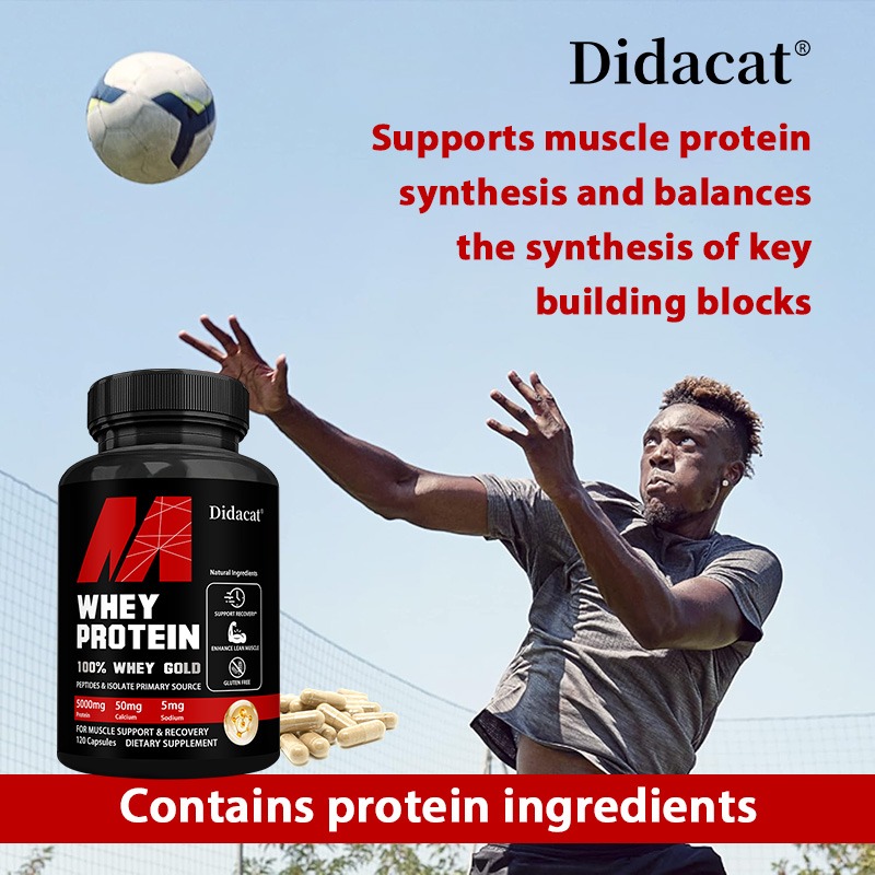 Didacat Whey Protein Concentra - Nutrition For Fitness And Sports review and price